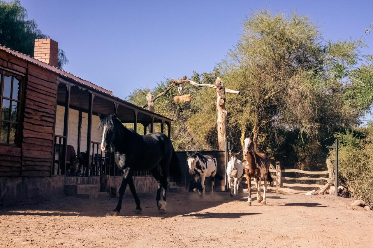 Lodge Atacama Horse San Pedro de Atacama Buitenkant foto